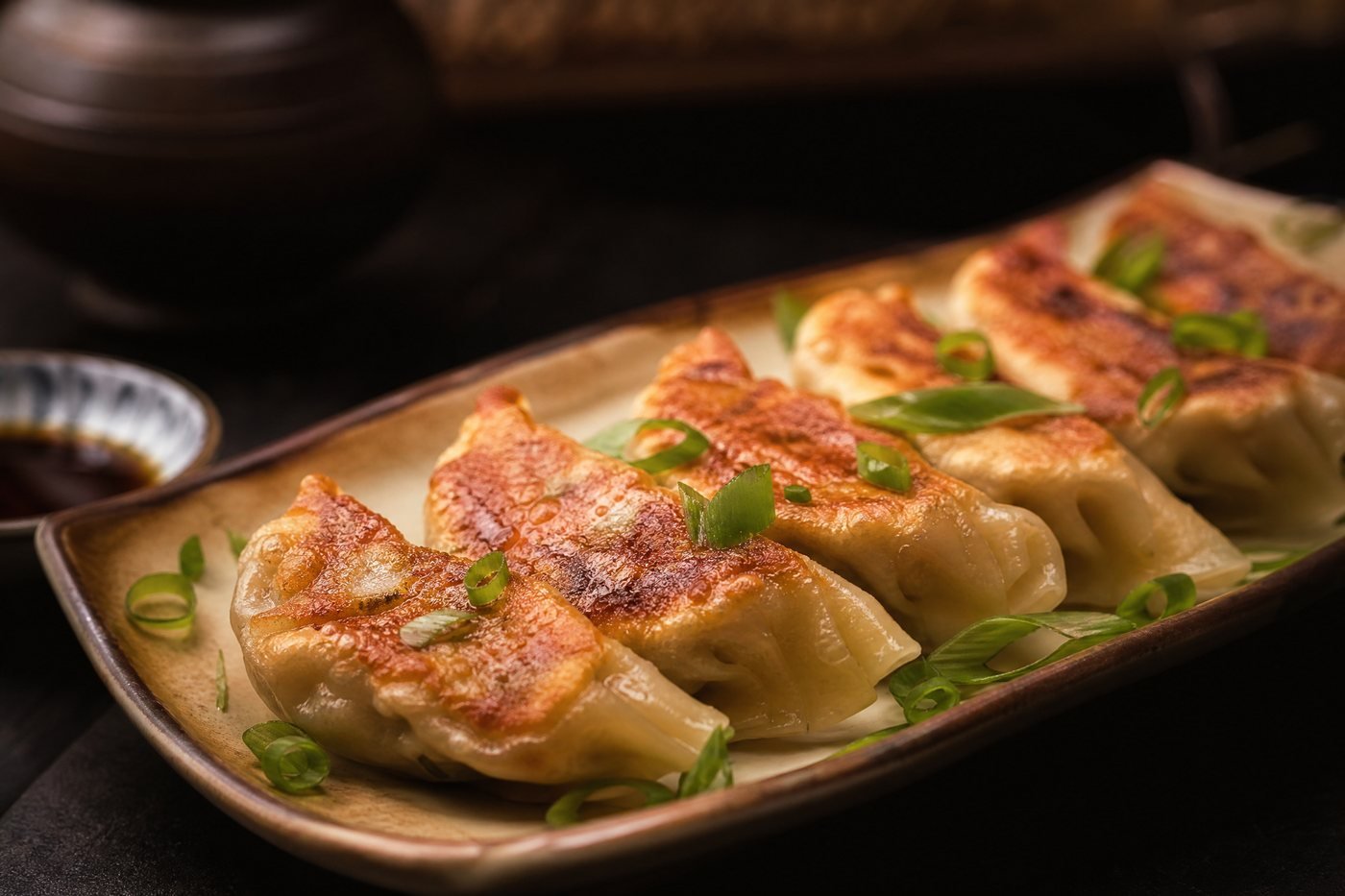 Gyoza Frito
